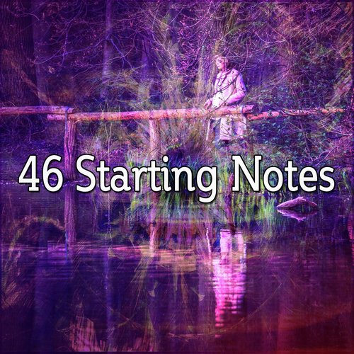 46 Starting Notes_poster_image