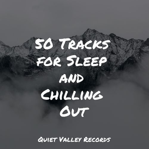 50 Tracks for Sleep and Chilling Out