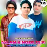 ASLAM SINGER 7200
