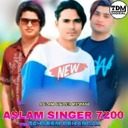 ASLAM SINGER 7200