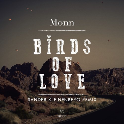 Birds Of Love (Sander Kleinenberg Remix)_poster_image