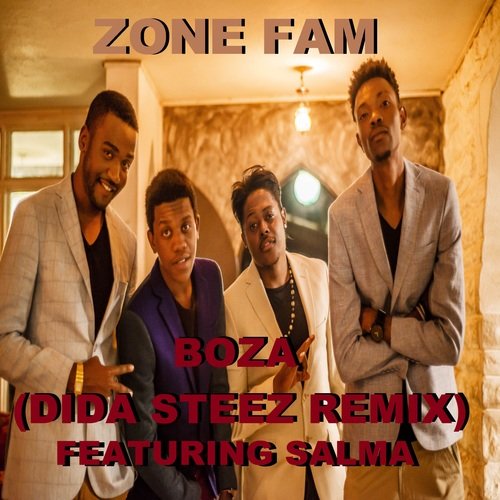 Boza (Dida Steez Remix) cover art