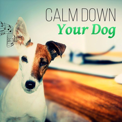 Relaxation Exercises cover art