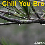 Chill You Bro