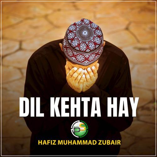 Dil Kehta Hay