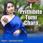 E Prithibite Tumi Chara