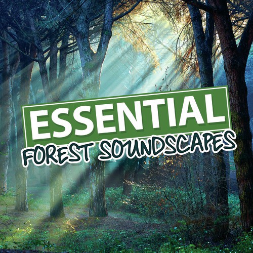 Water Source cover art