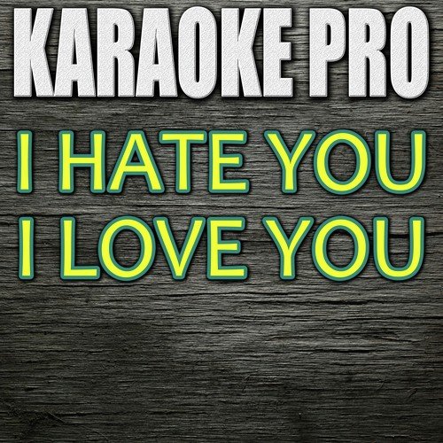 I Hate You I Love You (Originally Performed by Gnash feat. Olivia O'Brien) [Instrumental Version]_poster_image