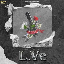 L.VE-FS9TRjJabXI