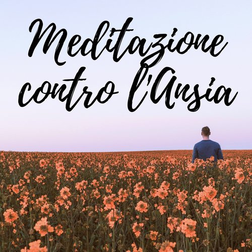 Felicità & Meditazione cover art