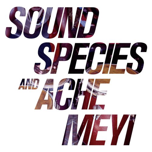 Soundspecies