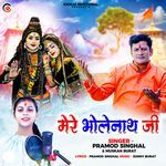 Mere Bhole Nath Ji
