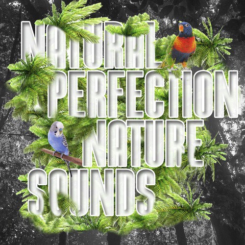 Natural Perfection: Nature Sounds