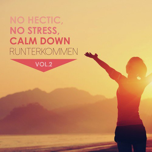 No Hectic, No Stress, Calm Down: Runterkommen, Vol. 2