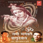 Om Namo Bhagwate Vasudevay