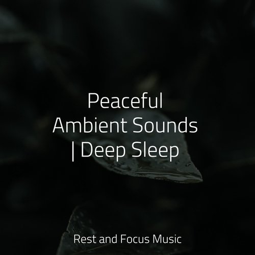 Peaceful Ambient Sounds | Deep Sleep