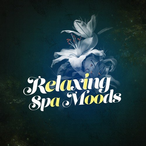Relaxing Spa Moods