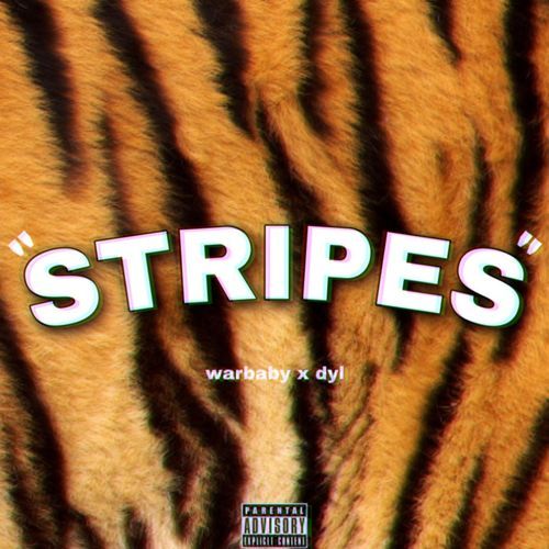 STRIPES cover art