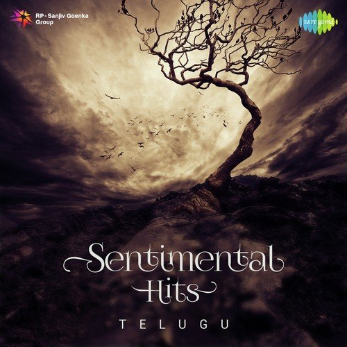 Sentimental Hits - Telugu