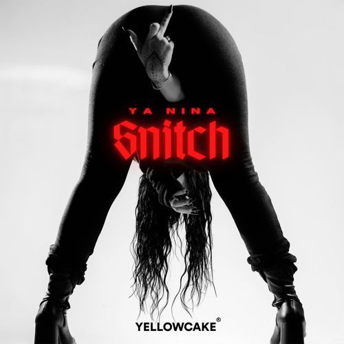 Snitch_poster_image