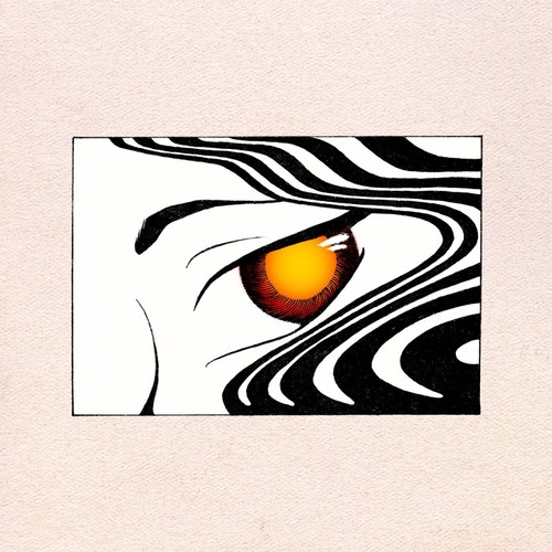 Popped In (Boogie Howser remix) cover art