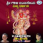 Sri Gaali Anjaneya Divyadarshana