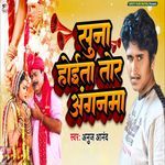 Suna Hoita Tor Anganava