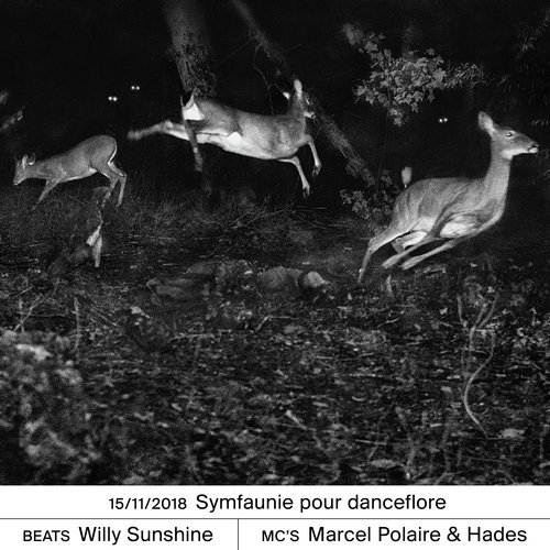 Symfaunie pour danceflore