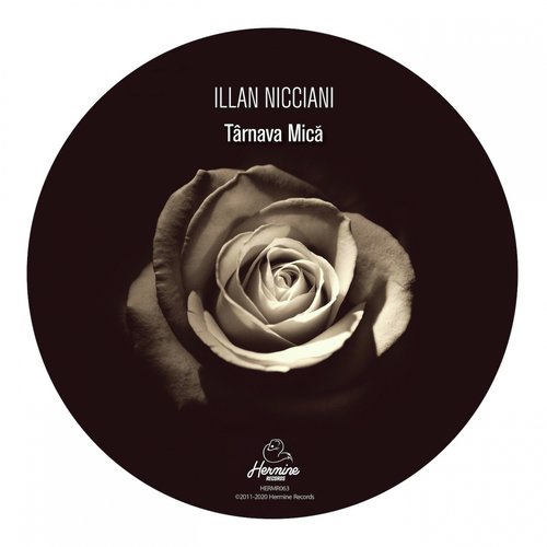 Târnava Mică cover art
