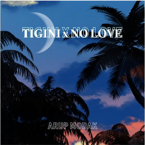 Tigini x No Love