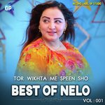 Tor Wikhta Me Speen Sho Best of Nelo, Vol. 1