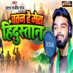Vatan Hai Mera Hindustan artwork