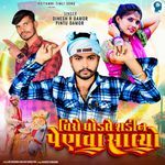 Viro Ghodle Shadin Penva Salyo