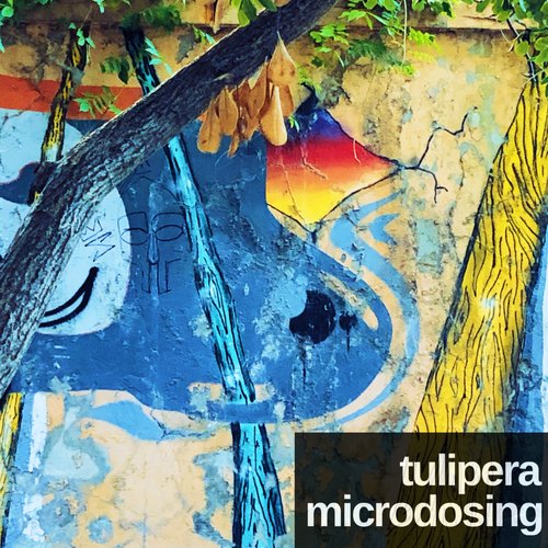 microdosing cover art