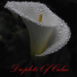 14 Droplets Of Calm