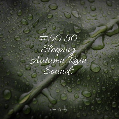 #50 50 Sleeping Autumn Rain Sounds