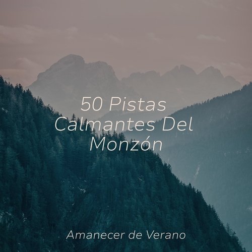 50 Pistas Calmantes Del Monzón