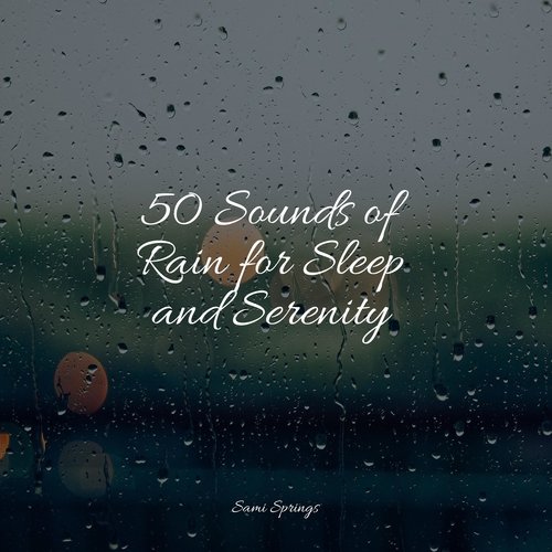 50 Sounds of Rain for Sleep and Serenity_poster_image