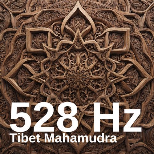 528 Hz Tibetan Om cover art