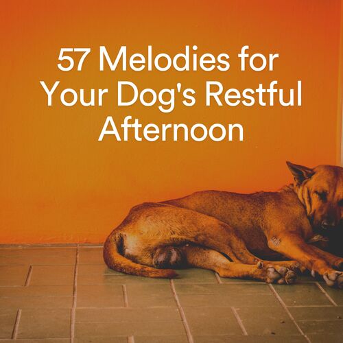 57 Melodies for Your Dog's Restful Afternoon