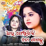 Au Feribini To Pakhaku