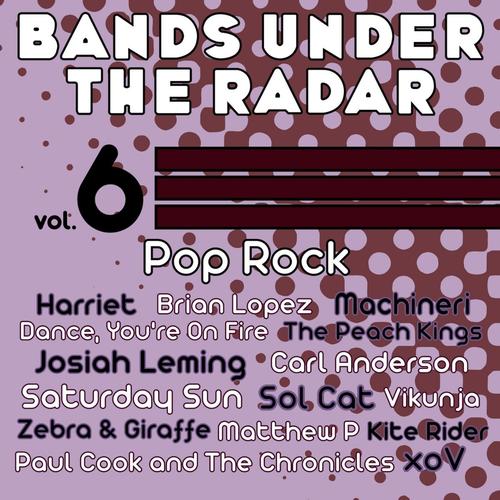 Bands Under the Radar, Vol 6: Pop Rock