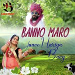 Banno Maro Jaave Hariya Baag