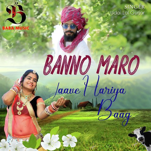 Banno Maro Jaave Hariya Baag