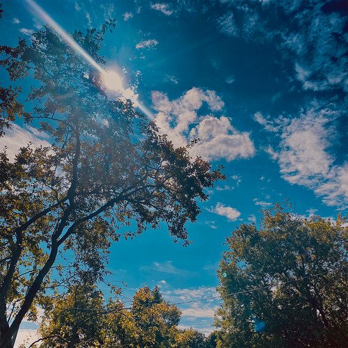 Beats and Heartthrobs