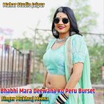 Bhabhi Mara Deewana Ko Peru Burset