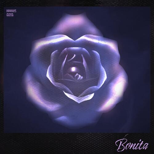 Bonita_poster_image