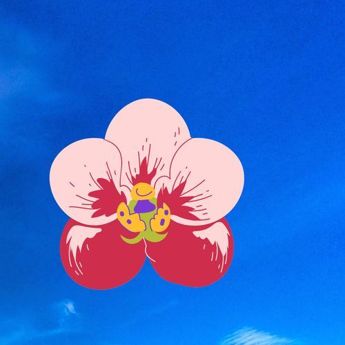 Dj ssu kental cover art