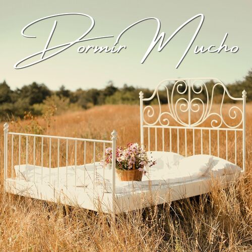Dormir Mucho cover art