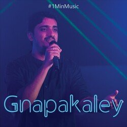 Gnapakaley - 1 Min Music-QTBcBkdnVFs